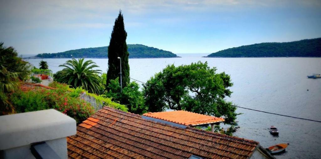 Villa Riva Molunat Zewnętrze zdjęcie